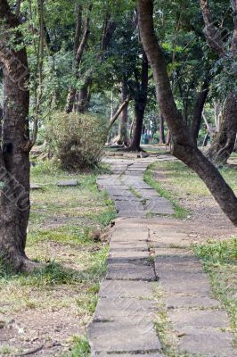 pathway of the park
