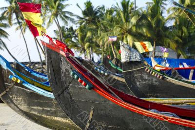 boats and palm trees