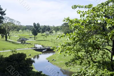 beautiful green nature