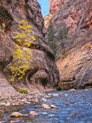 cliffs in zion national park