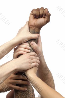 group of business people lifting their hand