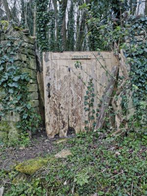 private gate in forest