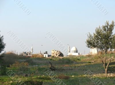 Mosque in the morning