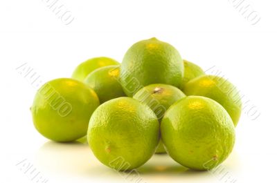 Fresh lime on a white background