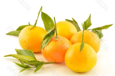 Tangerine with leaves on a white background