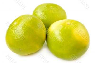 Citrus sveetie on a white background