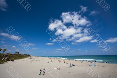 Wide Shot of Beach