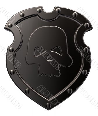 skull on shield
