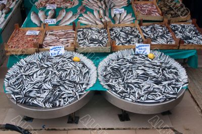 Fish Market