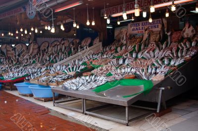 Fish Market