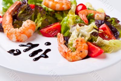 salad with shrimps on a white plate