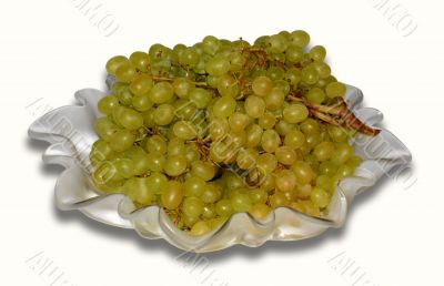 Grapes on the white.
