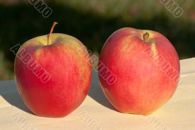 Red apples.