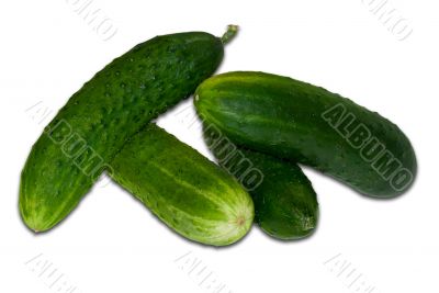 Cucumber in the white.