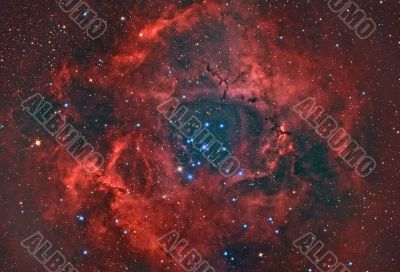 Rosette Nebula