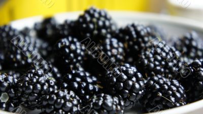 The blacberry