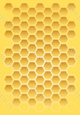 Bee honeycomb