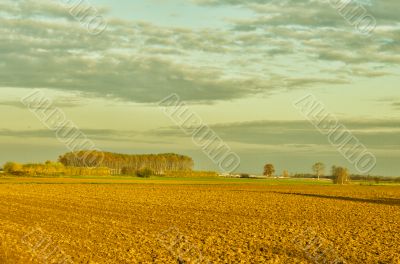 Fields