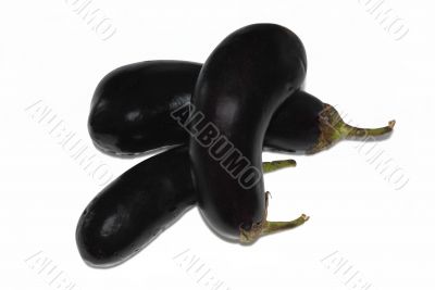 Eggplant.