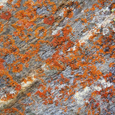 Image of colorful texture