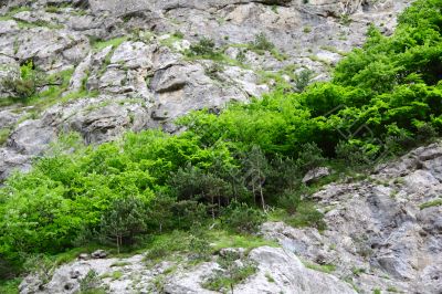 Image of mountain wall