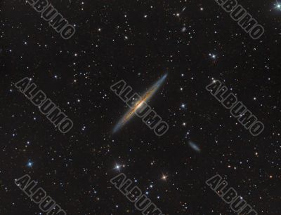 NGC4565 Needle Galaxy