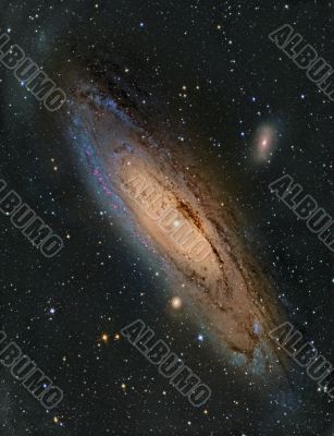 M31 Andromeda Galaxy