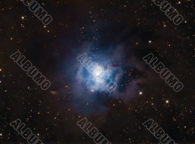 NGC7023 Iris Nebula