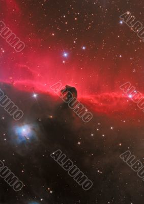 HorseHead Nebula