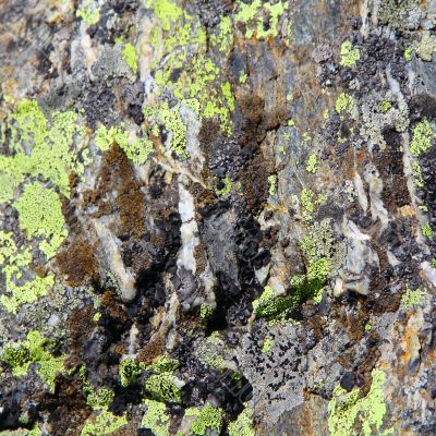 Image of colorful texture