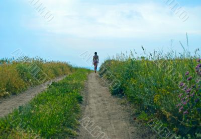 steppe path