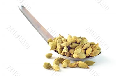 Cardamom seeds on a white background