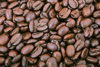 Coffee beans - office stimulant