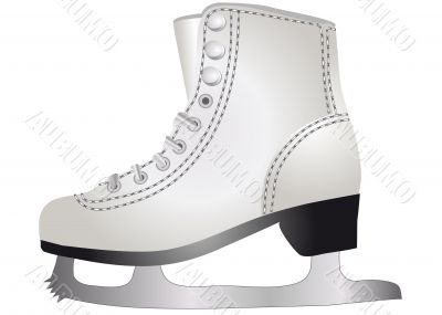 ice skate