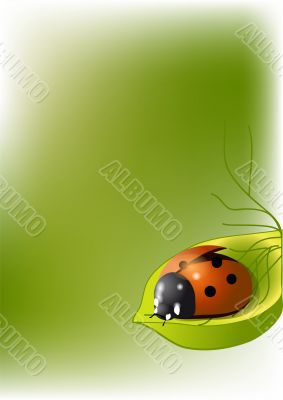 background with ladybug	