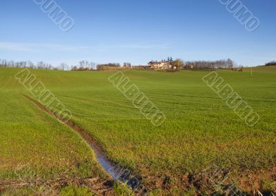 Field