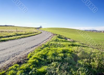 Road in the fields