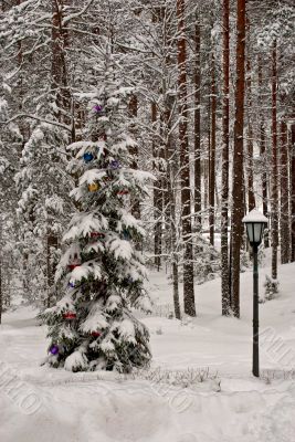 New year's tree.