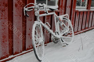 Bicycles in snow