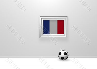 france soccer