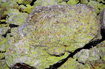 Image of colorful texture