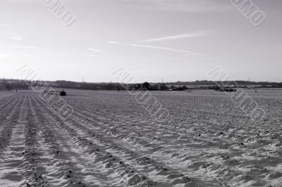 Field in winter