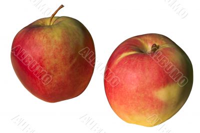 Red apples on white.