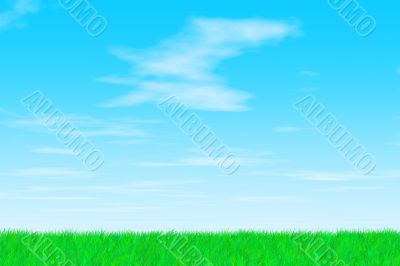 Grass on a sunny day