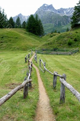 Wooden fence