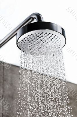 Shower head