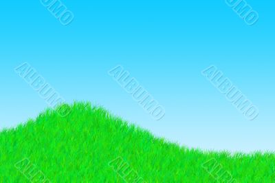 Grass on a sunny day