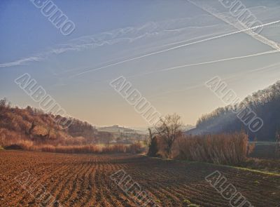 Field