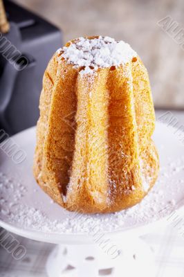 Little pandoro