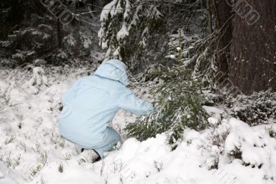 girl snow fir spruce
